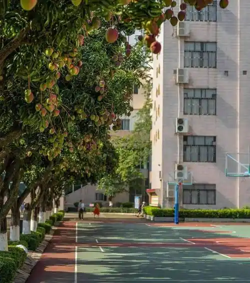 顺德李兆基中学天辽地远这里是我的挚爱