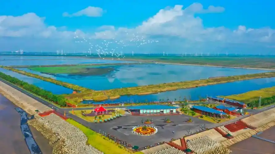 江苏射阳:向海图强,澎湃"蓝色引擎"新动能