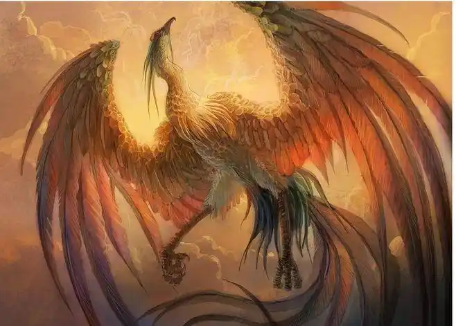 凤凰不落无宝之地