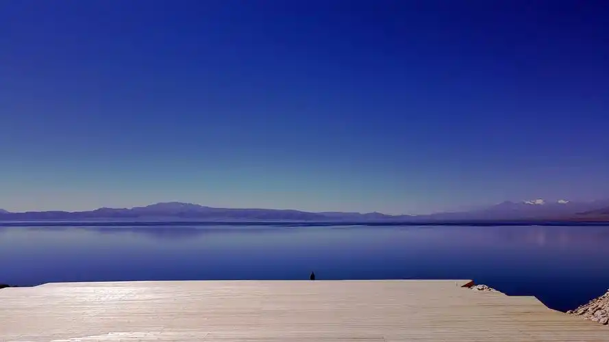 网易云音乐多端下载