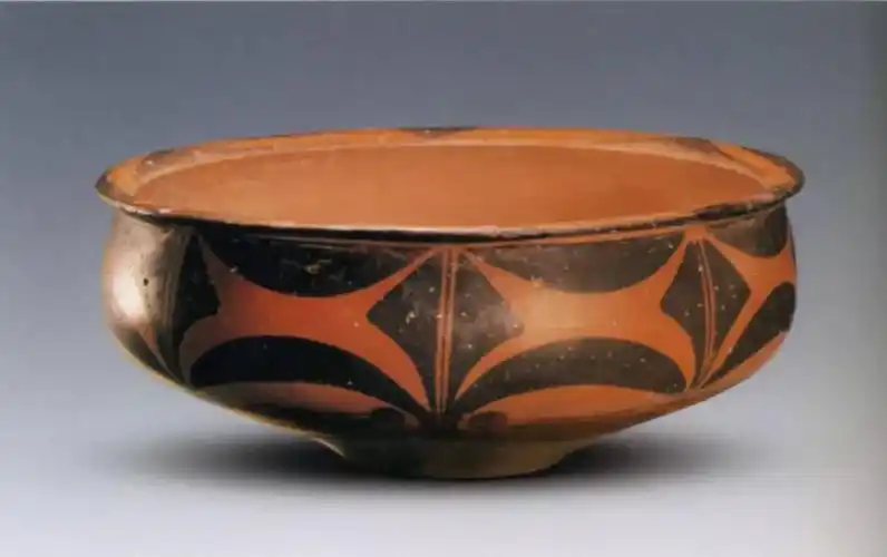 甘肃馆藏精品丨花瓣纹彩陶盆