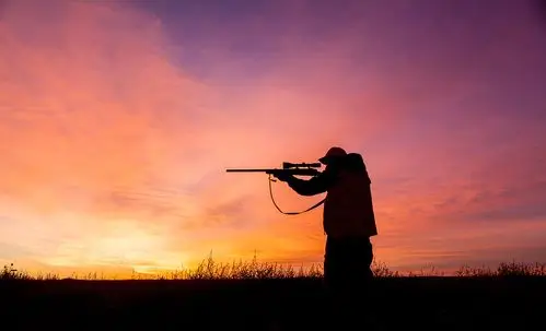 牛肉,猪肉限购了!美国"肉荒"来了,民众纷纷上山打猎…(麟州食品)