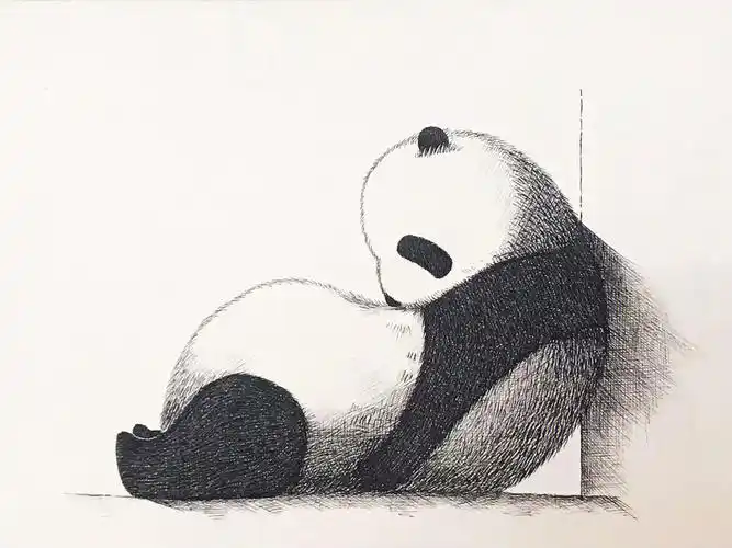 黑白装饰画针管笔手绘简单附带过程