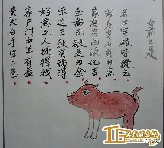 古籍相犬大全全本让你大开眼界