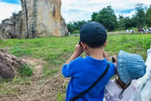 背面视角,亚洲人,孩子,照相,相机,国家公园,家庭,放松,户外,鲜明,阳光