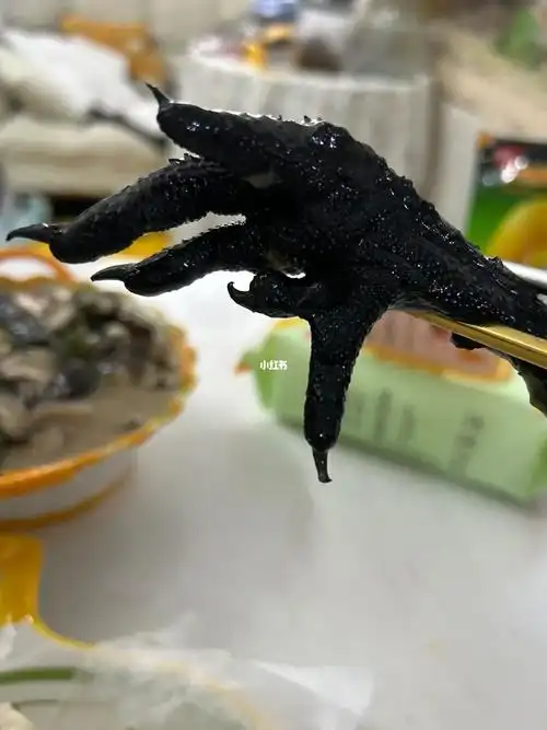 乌鸡有5个爪子吗?#鸡爪的吃法  #鸡爪