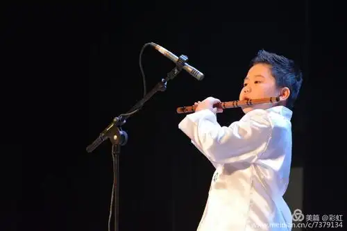 第十二届广西少年儿童艺术比赛器乐专场