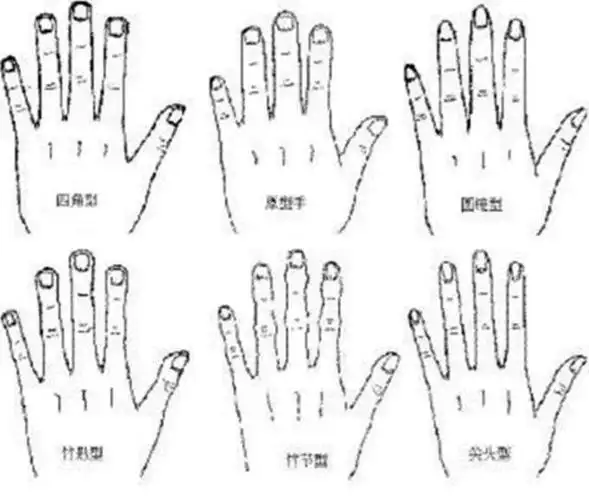 女生这5种常见手型,第3种是美女手,你属于哪一种