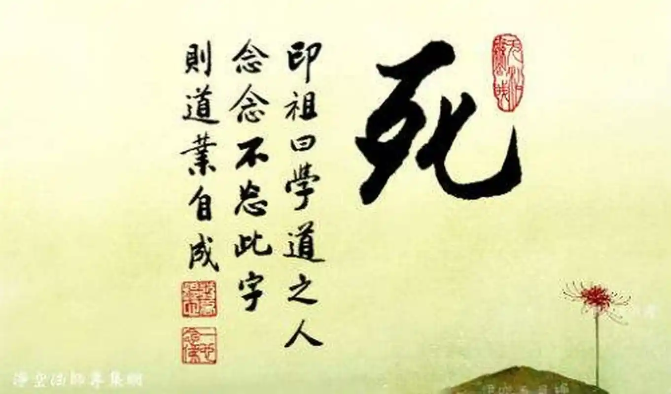 净空老法师:"是法无上深妙,广深如海".