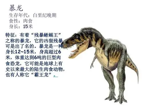 恐龙知识百科