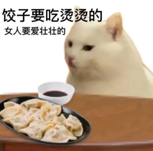 饺子要吃烫烫的女人要爱壮壮的_壮壮_烫烫_饺子表情