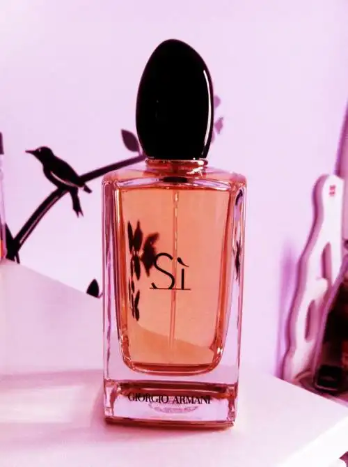 相册 阿玛尼 挚爱 giorgio armani si, 2013_香水时代