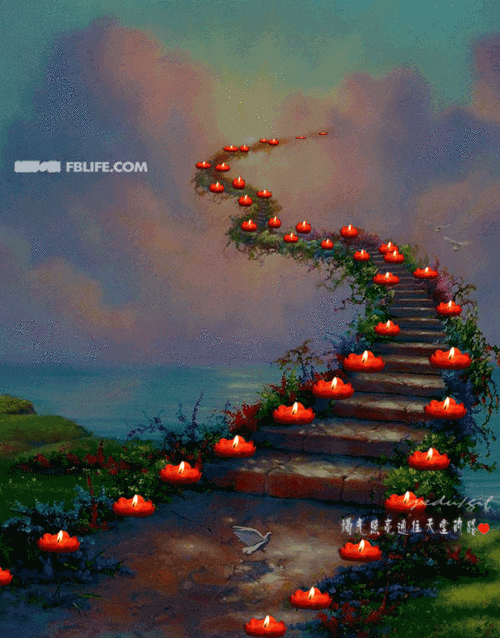 小黄一路走好 天堂里没有车来车往 感谢所有帮助过小黄的兄弟们