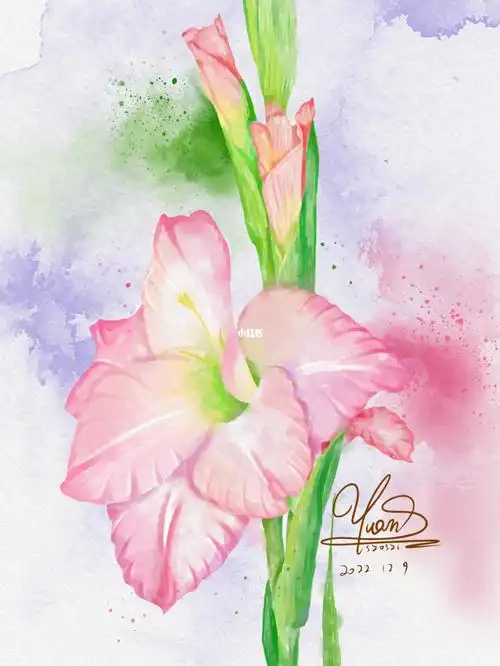 水彩画百合花