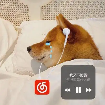 我又不脆弱何况那算什么伤_何况_脆弱_那算表情