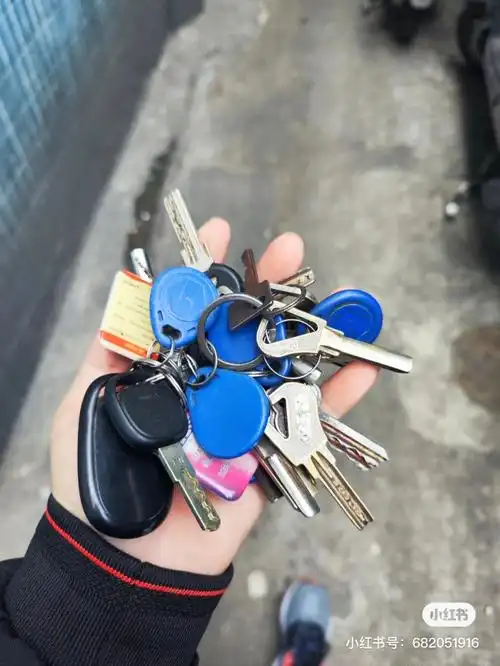 燕子我收房租养你