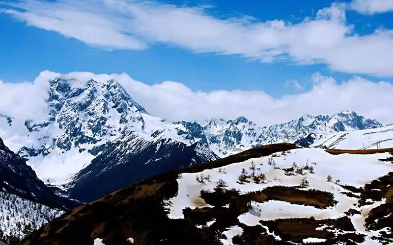 白马雪山国家级自然保护区