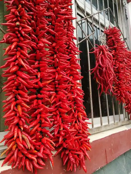 这一串串的红辣椒开始还以为是假的呢
