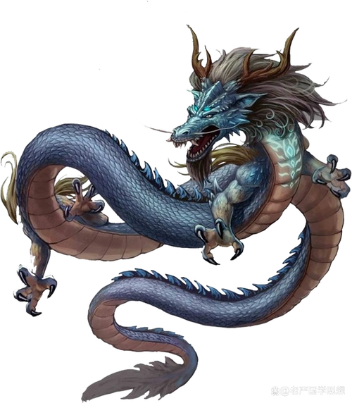 准确地说是龙的爪子.从照片上来看,比较近似于禽类的爪子.