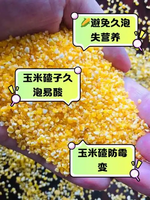 玉米碴子泡一夜的危害