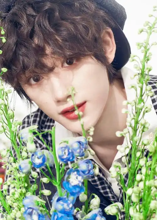 丁程鑫晒花与少年随拍