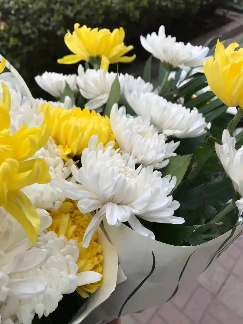 临沭上五七坟准备什么(临沂五七坟是怎么算时间)