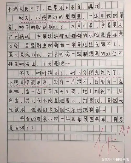 小学老师晒小学生优秀作文,不仅表达清晰而且书写堪比"印刷体"