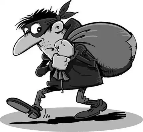 小偷逃跑过程中被车撞死,追他的受害者需要负责吗?