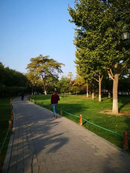 人们在这里晨练散步