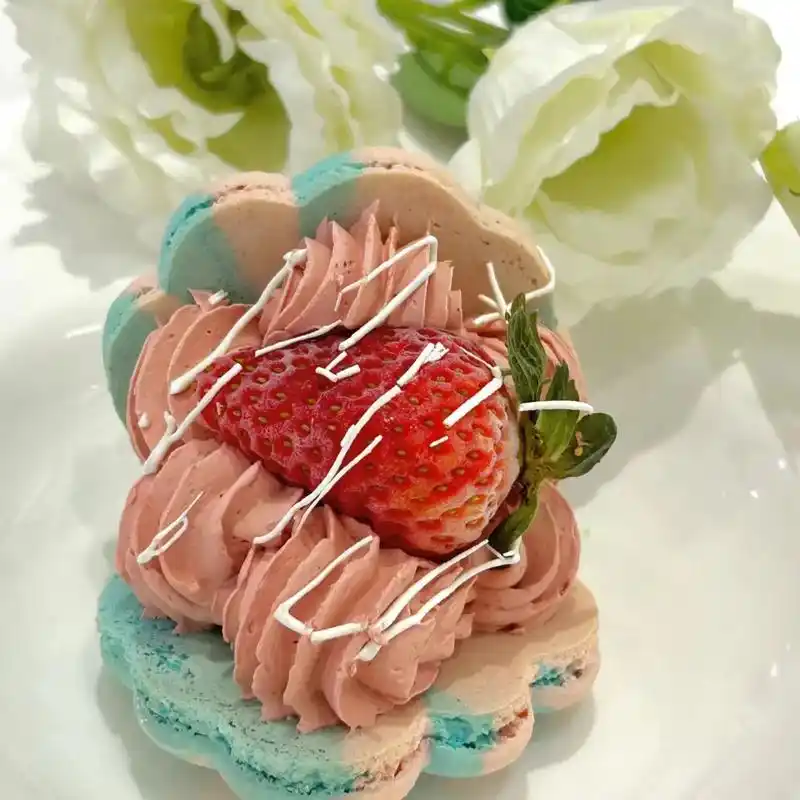 来南昌必吃的马卡龙-卟噜象马卡龙.