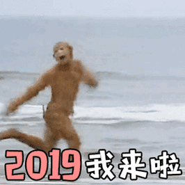 孙悟空海边跳跃动图)_2019_我来_动图_西游记_孙悟空表情