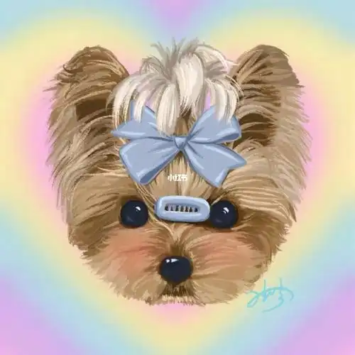 宠物头像蝴蝶结约克夏