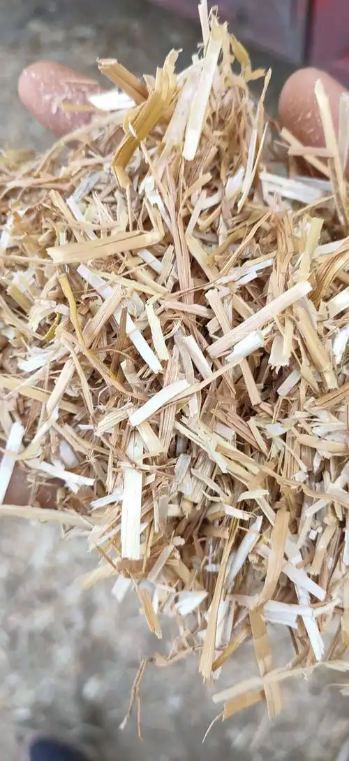 小麦秸秆 2021精品柔丝麦秸原草