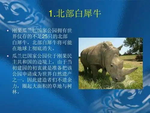 世界上濒危灭绝动物介绍12种ppt