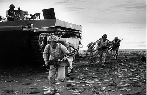 不费一枪一弹解放大陈岛,张爱萍越级向彭总汇报,打出漂亮一战