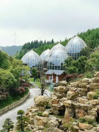 登六盘水之梅花山