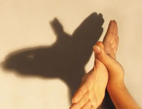 可是影子怎么变出小鸟,小鸭子呢?我们一起来研究研究吧!