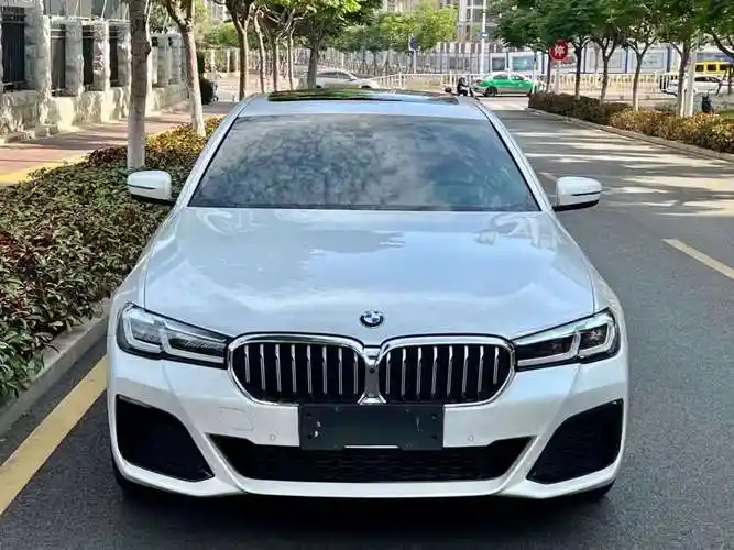 宝马 宝马5系  2021款 改款 530li 尊享型 m运动套装图片