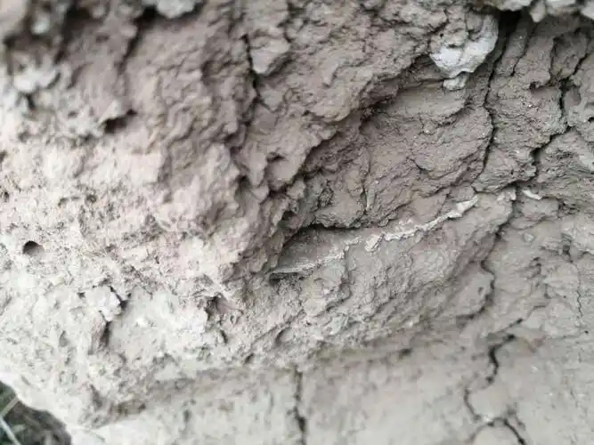 崔庄遗址发现白灰面房址