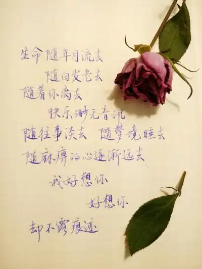 文|苏打绿《我好想你》 字|andor