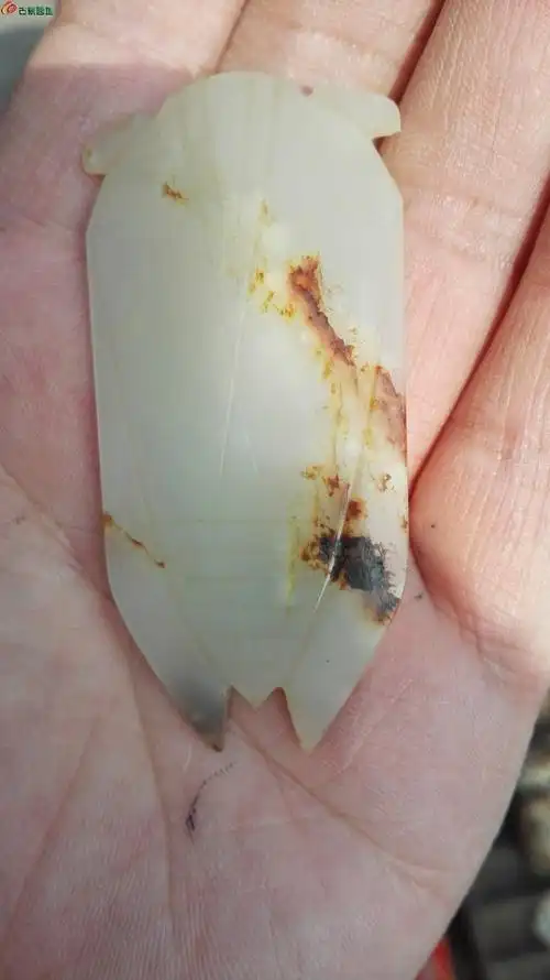 [欣赏] 一个极品汉代和田籽料玉蝉