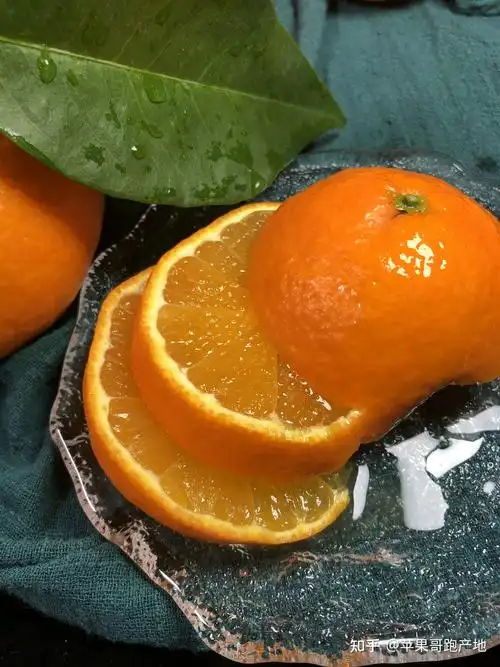 2021年象山红美人柑橘桔子多少钱一斤产地是哪里哪里最出名