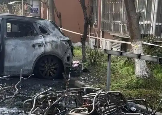 原因公布,一个细节令人后怕|火灾|电动车|上海市|安全隐患|事故原因