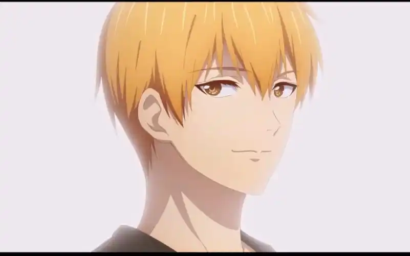 【全职高手】苏沐秋 若我未英年早逝结局会怎样