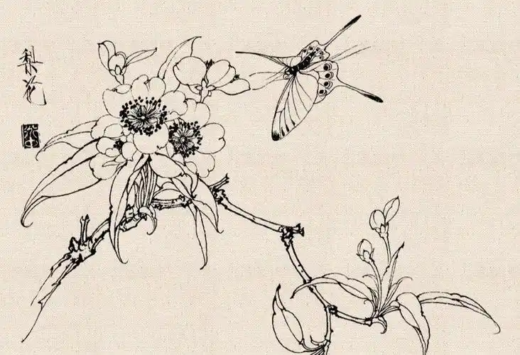 王道中工笔白描花卉欣赏_腾讯新闻