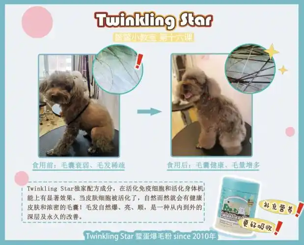twinklingstar鳖蛋爆毛粉独家配方成分