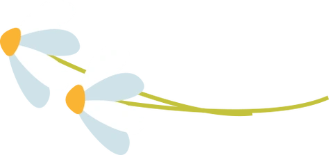 最近满大街都是它有人却受不了了严重可致命