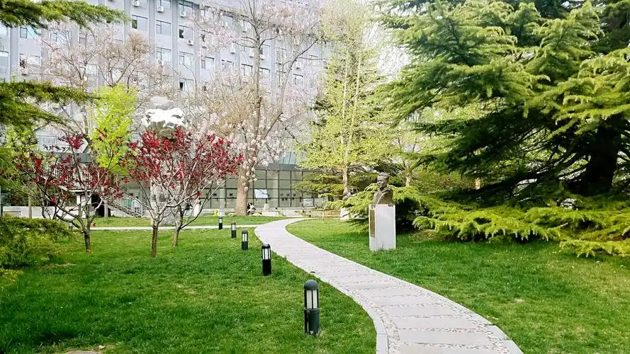 北京电影学院 一一不是985,但关注度一点不输985的学校.