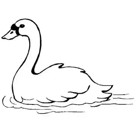 鹅简笔画 鹅简笔画图片