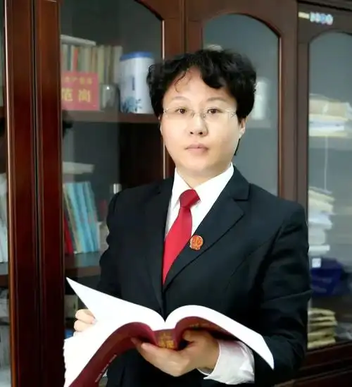 刑事法官吴淑敏柔肩担重任初心谱华章